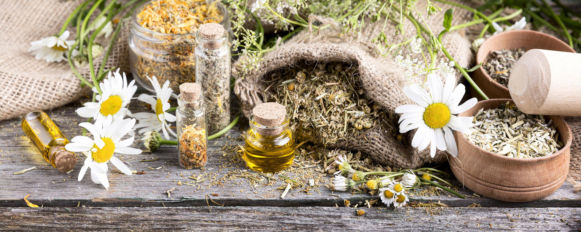 natural-ingredients-guide-natural-animal-solutions